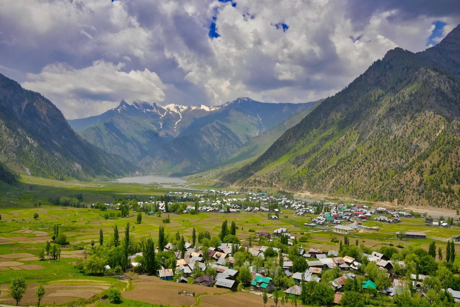 Jibhi